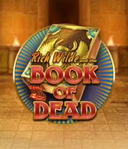 1728914890 rich wilde and the book of dead